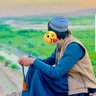 بی ازاره مرغه profil fotoğrafı