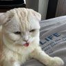 taa04 profil fotoğrafı
