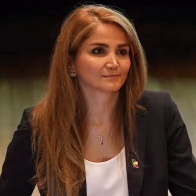 Shirin Goli's profile picture
