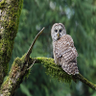 Фото профиля Douglas Daniels