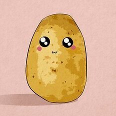marble garden's profile picture