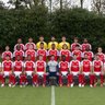 Profilbild von The Arsenal Guy