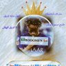 🥈🇴🇲💙Roman9️⃣1️⃣💙F_15💙🇸🇦🥈 profil fotoğrafı