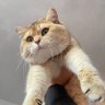 松松 的头像