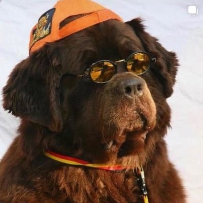 uninspired beige's profile picture