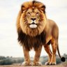 Shailendra Singh profil fotoğrafı