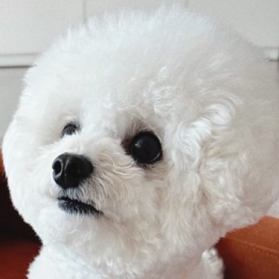 franky___a's profile picture
