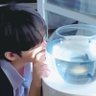 릿 的头像