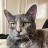 Martha profil fotoğrafı