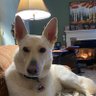 SeanSean's profile picture