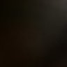 PEDRO's profile picture