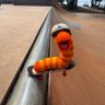 Beeba's profile picture