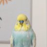 Oli profil fotoğrafı