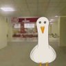Profilbild von unique bird🪿