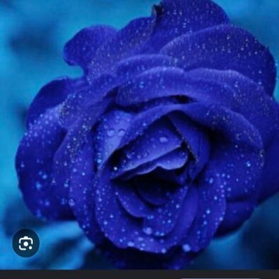 thisrainbowgirl's profile picture