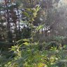 Фото профиля Tiredofbeingnice