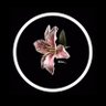 أسرار الشوق's profile picture