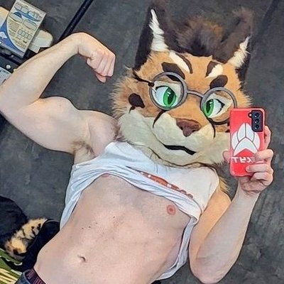 NotAKitten4's profile picture