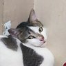 24 jam = 1 hari profil fotoğrafı
