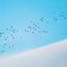 Sky profil fotoğrafı