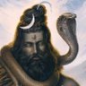 Shiv Singh profil fotoğrafı