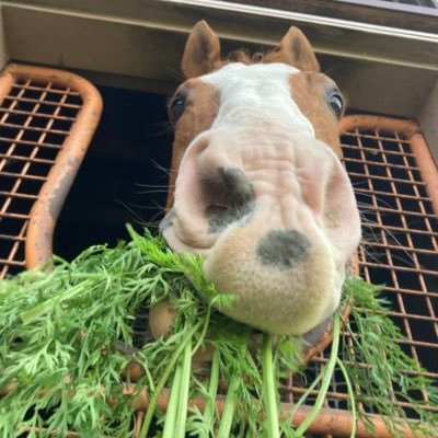 mican's profile picture