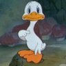 Profilbild von jack of all trades, master of none