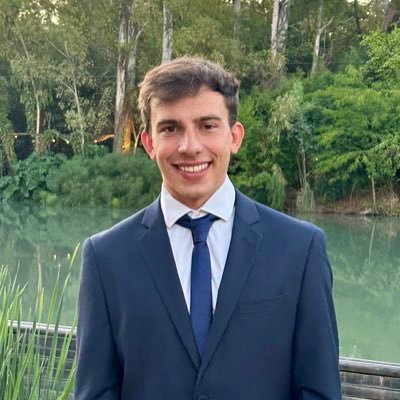 LorenzoBolsa's profile picture