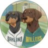 Profilbild von Colt Rosensweig 🧡💙⚾️💚💛 she/her
