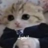محمد 的头像