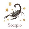 Фото профиля 生真面目でコミュ障な蠍座🦂生まれの長浜市民@ファジサポ
