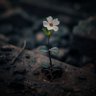 TMB profil fotoğrafı