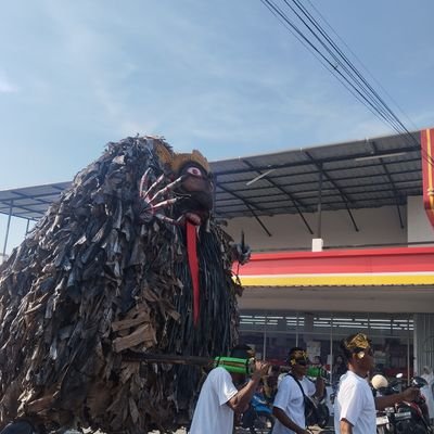 reina_n03lla's profile picture
