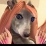 Profilbild von LaZaramora