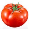 Hybrid Tomato's profile picture
