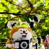 やづき@鉄道旅行好き profil fotoğrafı
