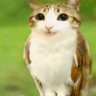 Profilbild von mari