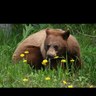 James Griesbach's profile picture