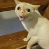 EJJEFF's profile picture