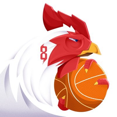 DANILO GALLINARI's profile picture