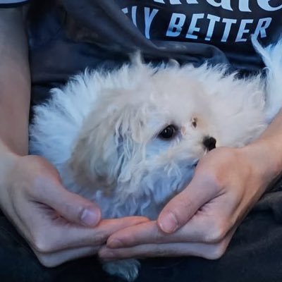97prinkless's profile picture