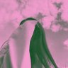 Zꫀᥣ's profile picture