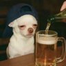 phartiu's profile picture
