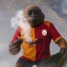 Mustafa🇳🇬🇵🇹 profil fotoğrafı