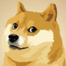Doogeee's profile picture