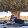 Khodor Kerdeih's profile picture
