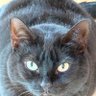 Liz_Phenominal profil fotoğrafı