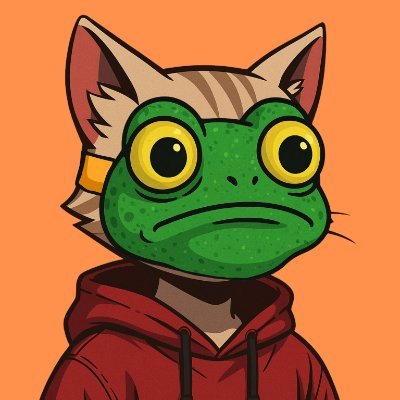 0xCatzp's profile picture