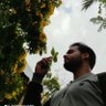 Abbas Mohd | عباس محمد's profile picture