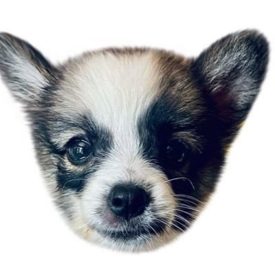Ffaii_Ffull's profile picture